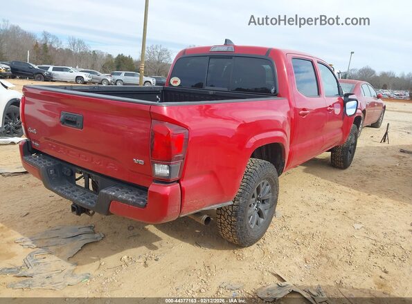 3TMCZ5AN4PM608461 2023 TOYOTA TACOMA Red Հետևի աջ