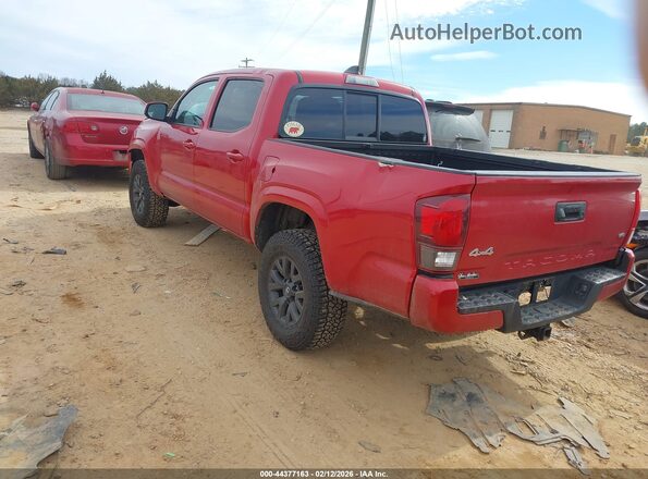 3TMCZ5AN4PM608461 2023 TOYOTA TACOMA Red Հետևի ձախ