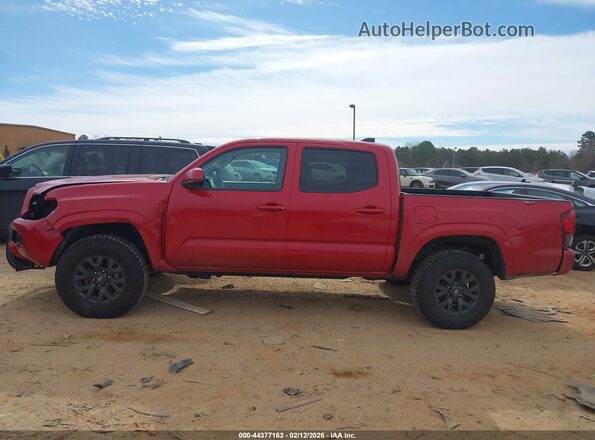 3TMCZ5AN4PM608461 2023 TOYOTA TACOMA Red Սալոնի 360 աստիճան տեսք