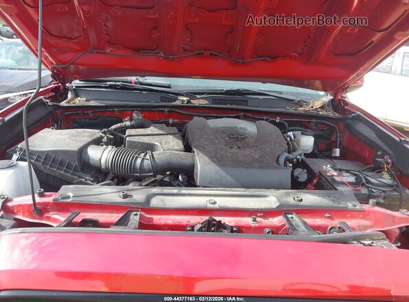 3TMCZ5AN4PM608461 2023 TOYOTA TACOMA Red Հետևի տեսք