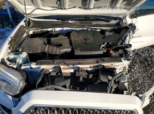 3TMDZ5BN3KM079550 2019 TOYOTA LE Белый Вид задней части салона