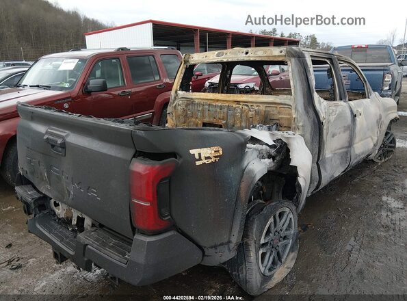 3TMLB5JN7TM211907 2026 TOYOTA TACOMA Серый Задняя правая четверть
