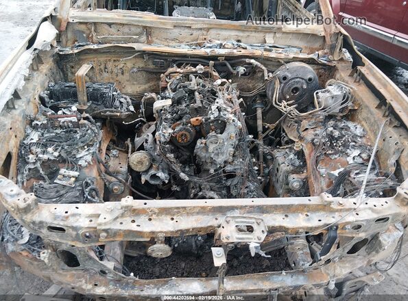 3TMLB5JN7TM211907 2026 TOYOTA TACOMA Серый Вид сзади