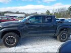 2025 Toyota Tacoma Hybrid Trd Off Road Gray vin: 3TYLC5LN1ST028452