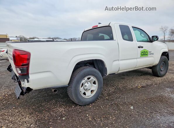 3TYRX5GN2NT039814 2022 TOYOTA TACOMA White Tył prawy