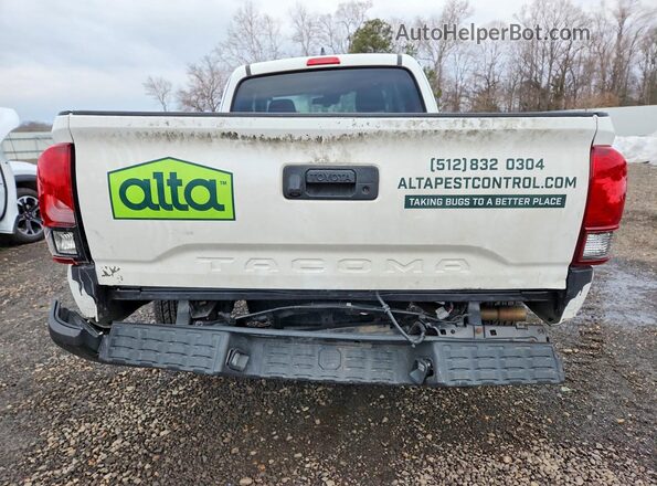 3TYRX5GN2NT039814 2022 TOYOTA TACOMA White Widok z tyłu