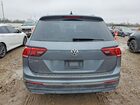 2019 Volkswagen Tiguan Se Gray vin: 3VV3B7AX3KM066944