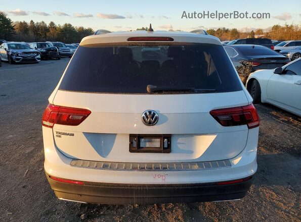 3VV3B7AX6KM106563 2019 VOLKSWAGEN TIGUAN Белый Вид сзади