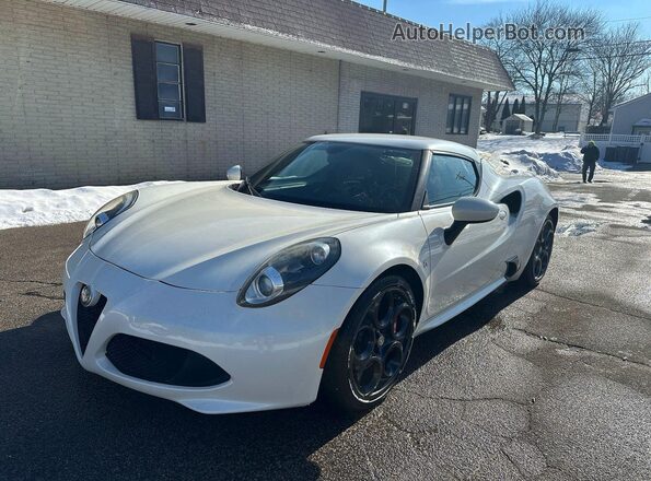 ZARBAAA41GM177436 2016 ALFA ROMEO 4C White Задня права чверть