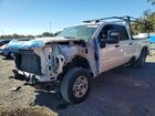 2024 Chevy Silverado C2500 Hd - R&d - Prior Fleet White vin: 1GC4WLE74RF260547 2024 Chevy Silverado C2500 Hd - R&d - Prior Fleet White vin: 1GC4WLE74RF260547