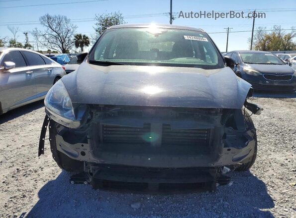 1FMCU0F65MUA98000 2021 FORD ESCAPE Синий Вид сзади