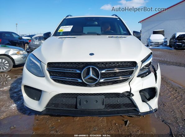 4JGDA5GB0KB205243 2019 MERCEDES-BENZ GLE 400 Белый Вид щитка приборов