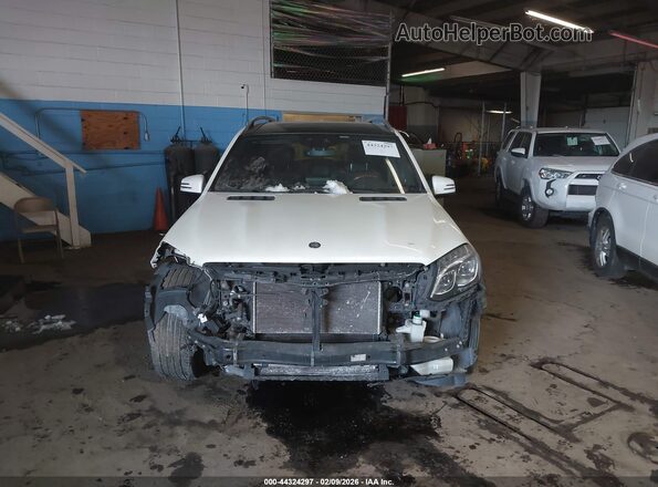 4JGDF6EE9HA792982 2017 MERCEDES-BENZ GLS 450 White Вид щитка приладів
