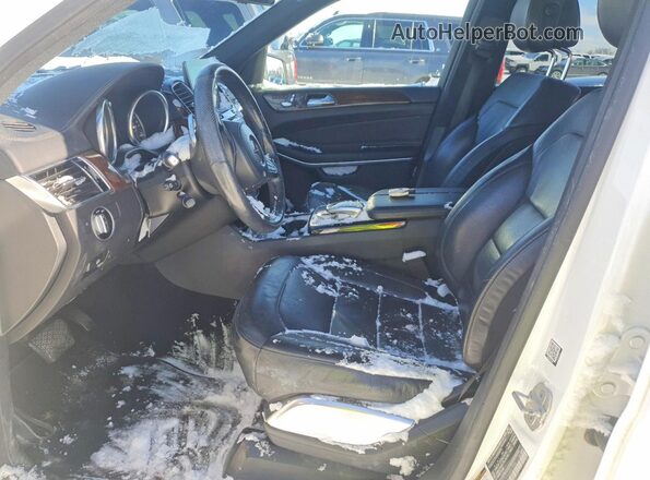 4JGDF7DEXHA897358 2017 MERCEDES-BENZ GLS White Вид салону спереду