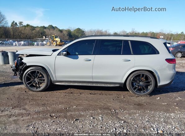 4JGFF5KE2SB341093 2025 MERCEDES-BENZ GLS 450 Серый 