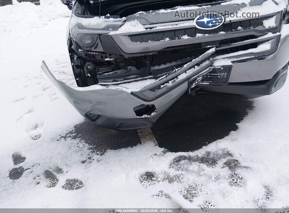 4S4SLDR67T3024034 2026 SUBARU FORESTER Серый Вид спереди