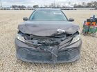 2019 Toyota Camry L Brown vin: 4T1B11HK5KU795488