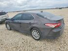 2019 Toyota Camry L Brown vin: 4T1B11HK5KU795488