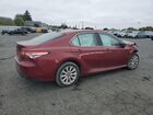 2019 Toyota Camry L Красный vin: 4T1B11HK5KU850344