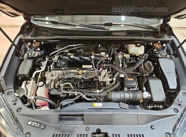 4T1EA1AB9MU005247 2021 TOYOTA AVALON Черный Вид задней части салона
