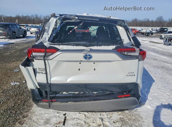 4T3E6RFV6PU108558 2023 TOYOTA RAV4 Черный Вид сзади