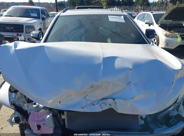 4W5KHNRL8RZ501175 2024 ACURA ZDX Белый Вид сзади