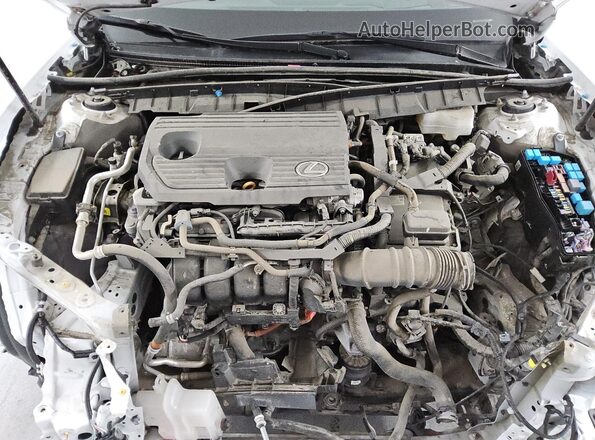 58ABA1C10RU039231 2024 LEXUS ES Белый 