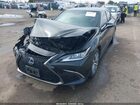 2020 Lexus Es 300h   Черный vin: 58AC21B16LU006552