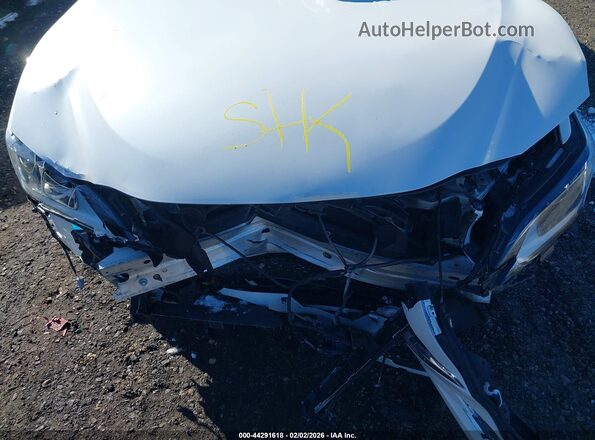 58AD11D10MU003250 2021 LEXUS ES 250 Белый Вид сзади