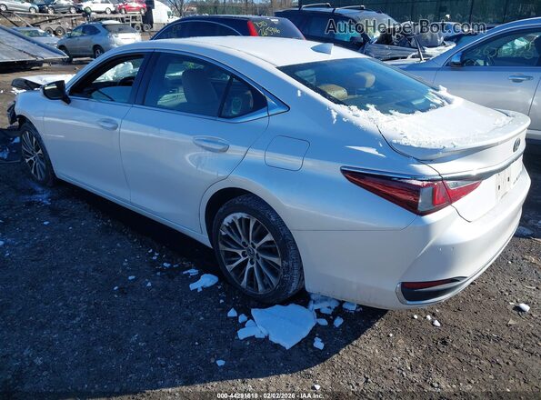 58AD11D10MU003250 2021 LEXUS ES 250 Белый Задняя левая четверть