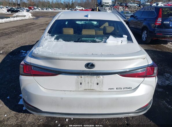 58AD11D10MU003250 2021 LEXUS ES 250 Белый 