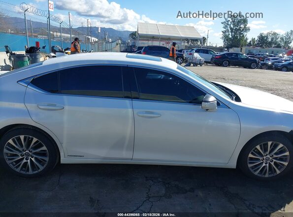 58AD21B13LU006609 2020 LEXUS ES 300H Белый Вид задней части салона