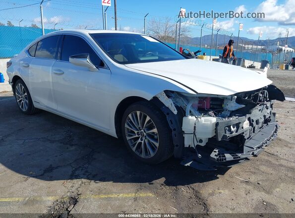 58AD21B13LU006609 2020 LEXUS ES 300H Белый Передняя правая четверть