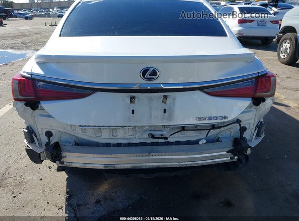 58AD21B13LU006609 2020 LEXUS ES 300H Белый Вид спереди