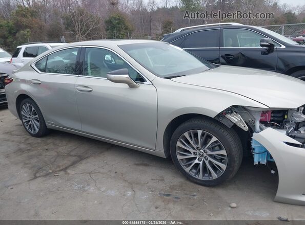 58ADA1C10MU005632 2021 LEXUS ES 300H Золотой Вид задней части салона