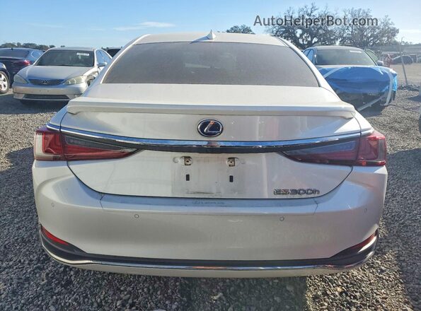 58ADA1C18NU024091 2022 LEXUS ES Белый Вид сзади