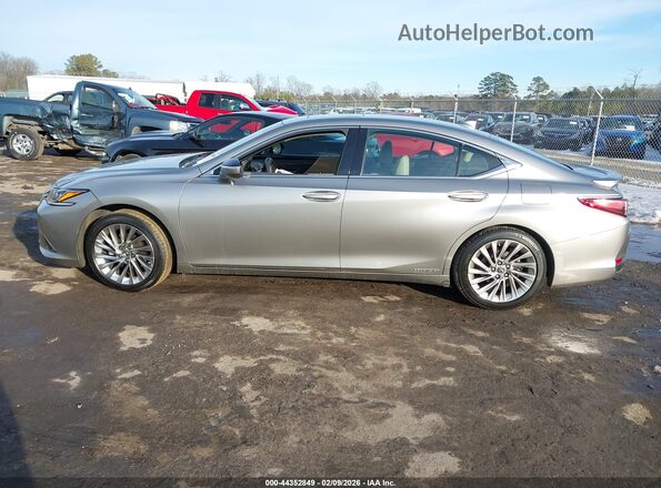 58AE21B13LU011698 2020 LEXUS ES 300H Серый Панорамный вид салона 360°