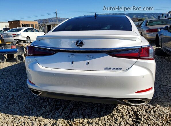 58AEZ1B15RU165348 2024 LEXUS ES Белый Вид сзади