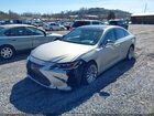 2020 Lexus Es 350 Ultra Luxury Gold vin: 58AFZ1B15LU055427