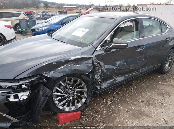 58AFZ1B17RU166022 2024 LEXUS ES 350 Серый Вид спереди