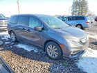 2019 Honda Odyssey Lx Gray vin: 5FNRL6H25KB023589