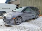 2022 Honda Odyssey Ex Gray vin: 5FNRL6H52NB011284
