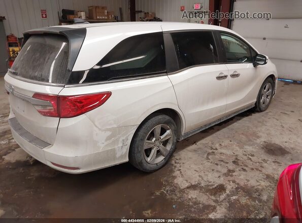 5FNRL6H56LB072179 2020 HONDA ODYSSEY White Tył prawy
