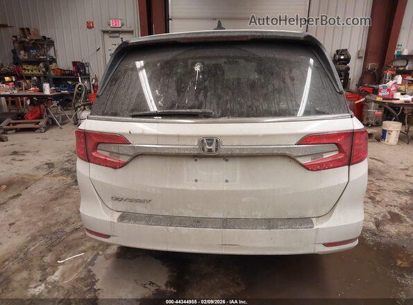 5FNRL6H56LB072179 2020 HONDA ODYSSEY White 