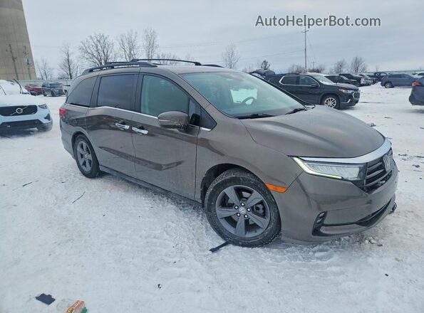 5FNRL6H56NB019968 2022 HONDA ODYSSEY Желто-коричневый Передняя правая четверть