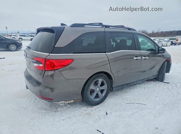 5FNRL6H56NB019968 2022 HONDA ODYSSEY Желто-коричневый Задняя правая четверть