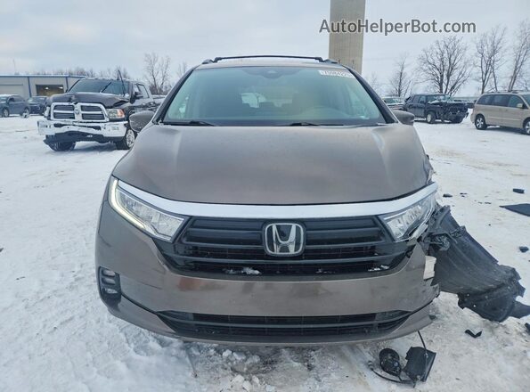 5FNRL6H56NB019968 2022 HONDA ODYSSEY Желто-коричневый Вид спереди
