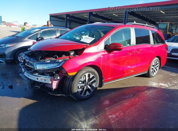 5FNRL6H61TB012612 2026 HONDA ODYSSEY Красный Передняя левая четверть