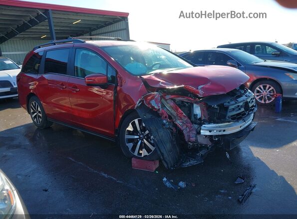 5FNRL6H61TB012612 2026 HONDA ODYSSEY Красный Передняя правая четверть