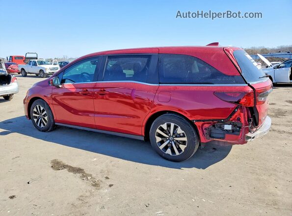 5FNRL6H63TB000381 2026 HONDA ODYSSEY Red Trasero izquierdo